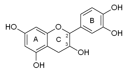 catechin