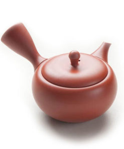 Red Tokoname Tea Pot